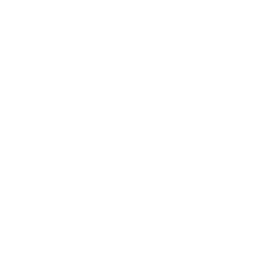 icon5
