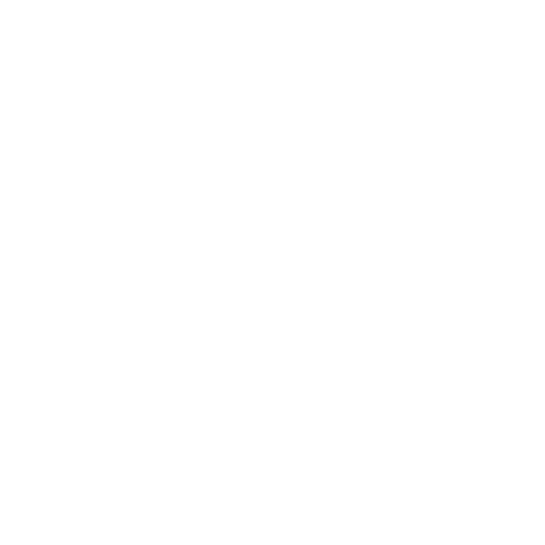 icon6