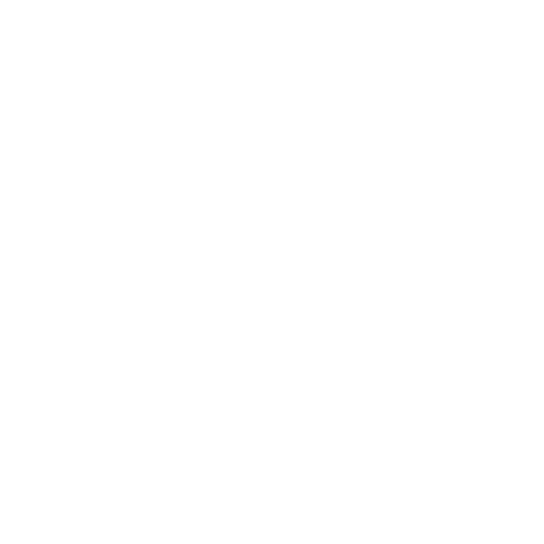 icon7